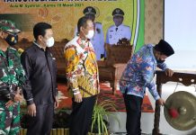 Kota Tanjungbalai Terpilih Sebagai Peringkat Kedua Kota Terbaik Penghargaan Pembangunan Daerah (PPD) tahun 2021