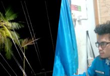 Bangkar Kelapa Jatuh, Sejumlah Daerah Tanjungbalai Mati Lampu, PLN : Mohon Maaf Kepada Pelanggan