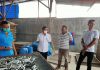 Didampingi Camat Teluk Nibung, Dinas Lingkungan Hidup Tanjungbalai Tinjau Limbah Ikan Asin Pematang Pasir