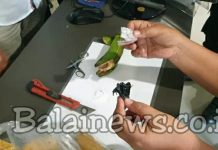 Petugas Lapas Temukan Barang Haram di Dalam Pisang diduga Jenis Sabu