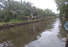 Warga Sei Dua Hulu Keluhkan Bau Limbah Diduga dari Pengolahan Pabrik