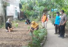 Tinjau Kebun Tanaman Yang Dikelola TP PKK Kecamatan Tanjungbalai Selatan