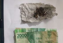 Miliki Narkotika jenis Ganja, Jon Warga Pematang Pasir di Tangkap Sat Res Narkoba Polres Tanjung Balai