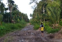 Jalan Menuju Makam Orang Tua Gubsu Di Sei Kepayang Bak Kubangan, Warga Mencium Aroma Nepotisme Sehingga Proyek Dialihkan
