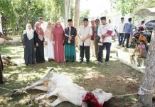 7 Ekor Lembu Sumbangan dari OPD di Sembelih Untuk Warga Masyarakat Tanjungbalai