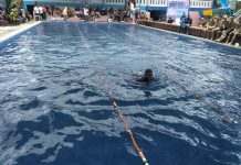 PRSI Gelar Kejuaraan Renang Kelompok Umur Perebutkan Piala Bergilir Wali Kota Tanjungbalai