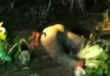 Mayat Mr.X ditemukan Terdampar di Sungai Selat Tanjung Medan Hebohkan Warga