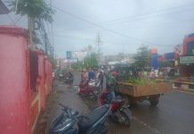 Peninjauan Gotong Royong di SD 5