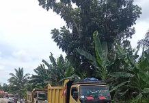 Truk Pengangkut Tambang Diduga Ilegal Di Tanjung Alam Lenggang Kangkung Melintas Depan Mapolres Asahan