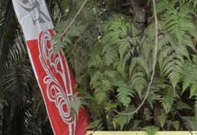 Warga Bandar Pulau Sebut Saat Lapor Jaksa, Pungutan Humas PT DPI Adalah Pungli, Pemkab Asahan Apresiasi OTT Polsek Bandar Pulau