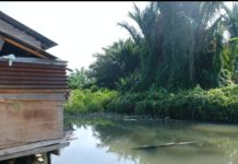Atasi Banjir di Wilayah Kecamatan Datuk Bandar, Pemko Tanjungbalai Akan Lakukan Normalisasi Sungai Sirantau