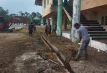 Tim Dinas Lingkungan Hidup Bersihkan Area Belakang GOR Kota Tanjungbalai