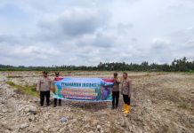 Dukung Ketahanan Pangan, Polsek Teluk Nibung Sulap 8 Hektare Lahan Jadi Kebun Jagung