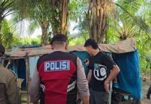 Sikat Peredaran Narkoba, Polres Tanjungbalai dan Tim Gabungan Grebek Sarang Narkoba