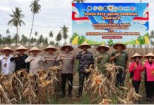 Dukung Program Asta Cita, Polres Tanjungbalai Sukses Gelar Panen Raya Jagung 6 Ton