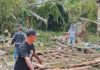 Camat Datuk Bandar Meninjau Rumah Warga Yang Terkena Pohon Tumbang