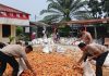 Dukung Asta Cita Presiden RI, Polsek Sei Tualang Raso Turun Langsung Bantu Petani Olah 7 Ton Jagung